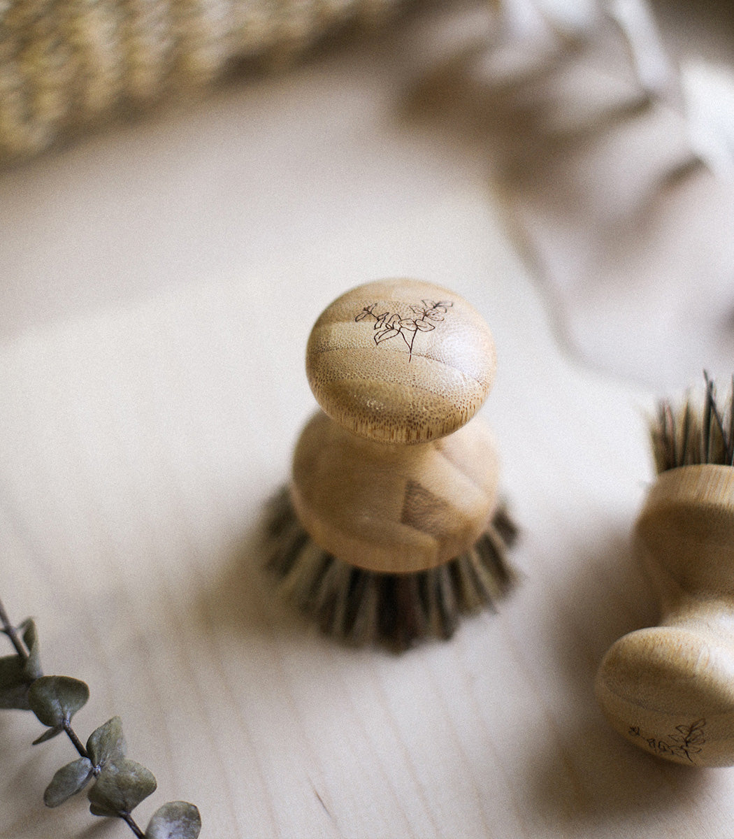 Brosse à Récurer